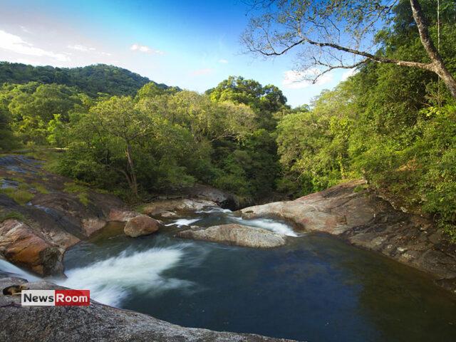 News Room : Rising Toll at Meemure’s Thali Kata as