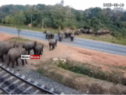 News Room Sri Lanka Railways Installs CCTV to Curb