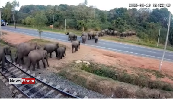 News Room : Sri Lanka Railways Installs CCTV to Curb