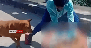 News Room : Teen Remanded for Brutal Attack on Dog in Nanuoya