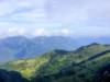News Room : The battle to save China’s rare snub-nosed monkey News Room The battle to save Chinas rare snub nosed.webp