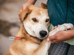 News Room : Vet-Turned-PS Chairman Launches Plan to End Rabies in Dickwella