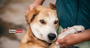 News Room : Vet-Turned-PS Chairman Launches Plan to End Rabies in Dickwella