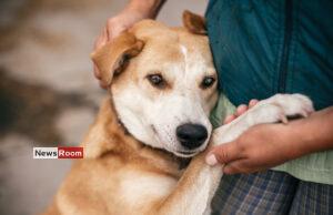 News Room : Vet-Turned-PS Chairman Launches Plan to End Rabies in Dickwella
