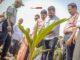News Room : President Launches First Seed Coconut Production Unit in the North News Room President Launches First Seed Coconut Production Unit