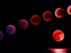 News Room : Sri Lankans to Witness Rare Blood Moon Tonight – See Timings Here News Room Sri Lankans to Witness Rare Blood Moon.webp