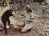 News Room Dame Jane Goodall remembered as a ‘true.webp