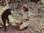 News Room Dame Jane Goodall remembered as a ‘true.webp