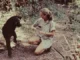 News Room Dame Jane Goodall remembered as a ‘true.webp