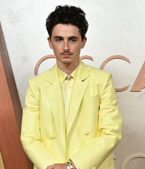News Room Timothee Chalamet fans go wild as he