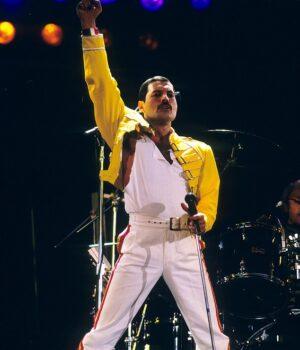 News Room TALK OF THE TOWN VA is just