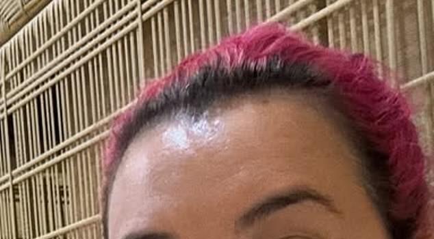 News Room : The Block’s Tanya Guccione suffers medical emergency in Bali News Room The Blocks Tanya Guccione suffers medical emergency