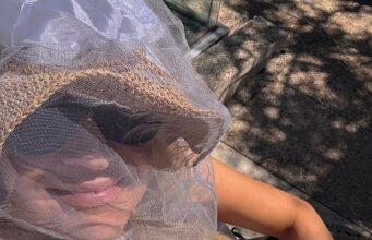 News Room : Guess who? Aussie TV star goes incognito as she flaunts her INSANE body in skimpy bikini and head net during ‘worst fly season in 40 years’ News Room Guess who Aussie TV star goes incognito