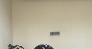 News Room : Nick Viall and Natalie Joy reveal gender of their twins weeks after announcing pregnancy following past miscarriages