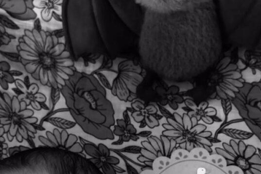 News Room Jack Osbournes wife Aree gives birth as