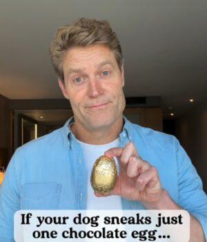 News Room : Dr Chris Brown issues dire warning about Easter eggs: ‘Avoiding it altogether is always the best plan’ News Room Dr Chris Brown issues dire warning about