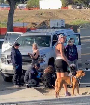 News Room : Tori Spelling recovers from terrifying car crash that landed family in hospital as she speaks with paramedics in aftermath News Room Tori Spelling recovers from terrifying car crash