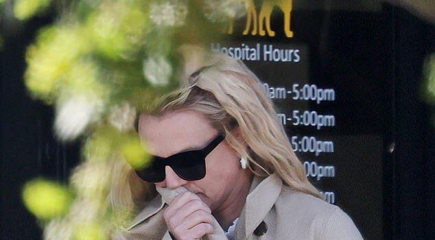 News Room Britney Spears spotted with bruised legs as