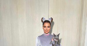 News Room : Khloe Kardashian condemned after putting cats through ‘cruel’ surgical procedure that is ILLEGAL in California