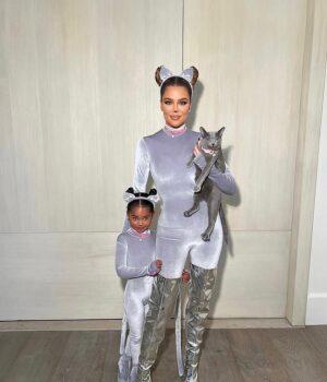 News Room Khloe Kardashian condemned after putting cats through