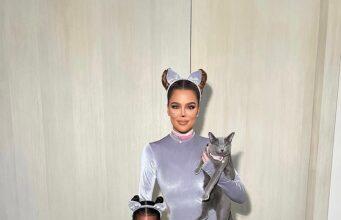 News Room Khloe Kardashian condemned after putting cats through