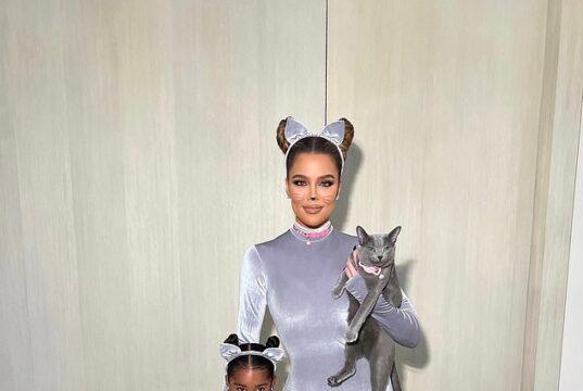 News Room Khloe Kardashian condemned after putting cats through