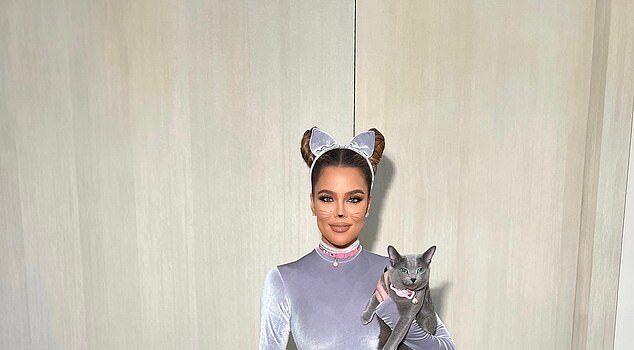 News Room : Khloe Kardashian condemned after putting cats through ‘cruel’ surgical procedure that is ILLEGAL in California News Room Khloe Kardashian condemned after putting cats through